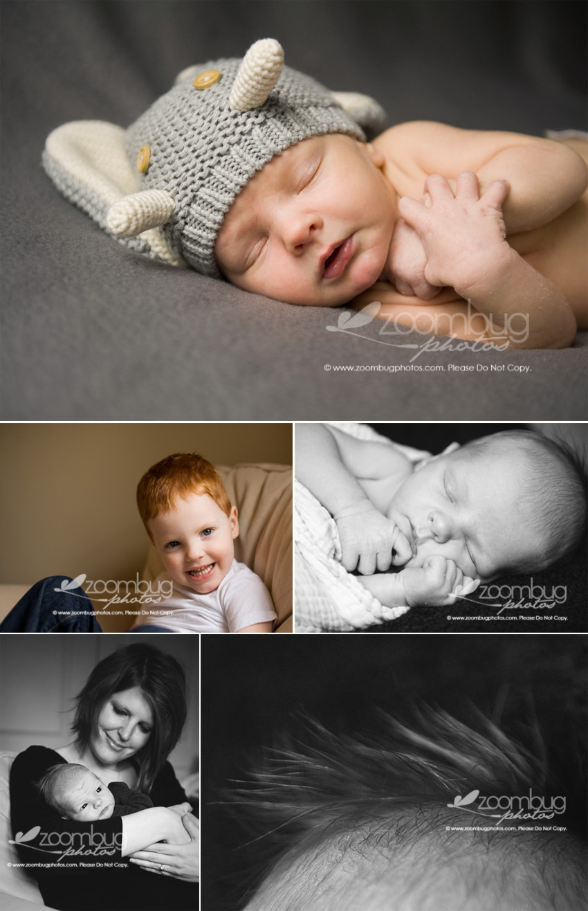 newborn-photographer-lexington-ky